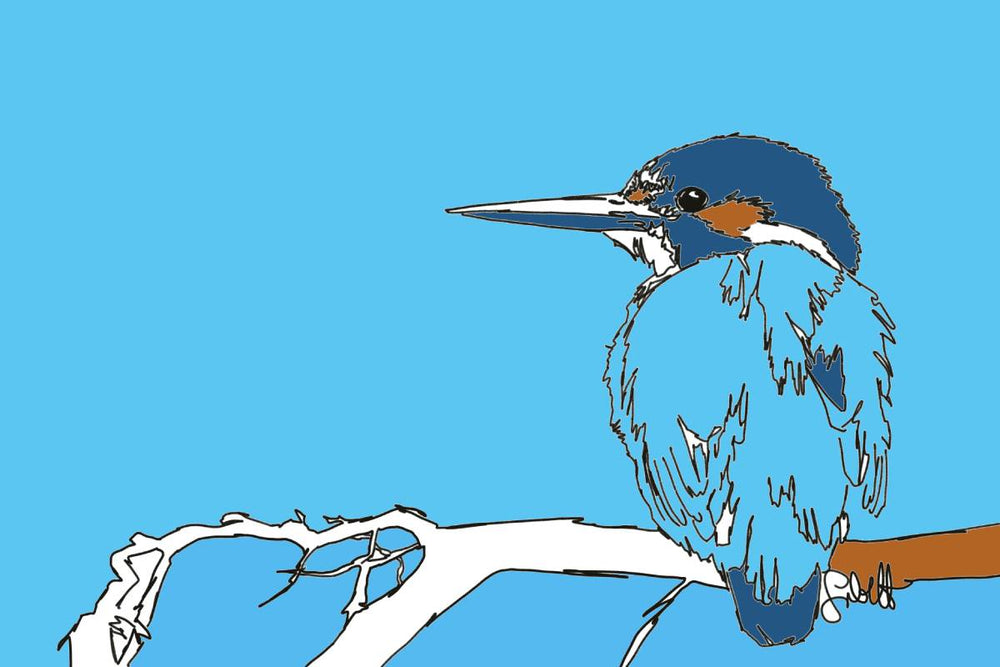 
                  
                    Eisvogel, limitierte Auflage
                  
                