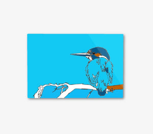 
                  
                    Eisvogel, limitierte Auflage
                  
                